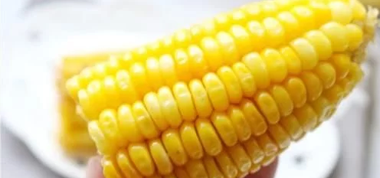 玉米漿干粉新型噴霧方式的優(yōu)點(diǎn)